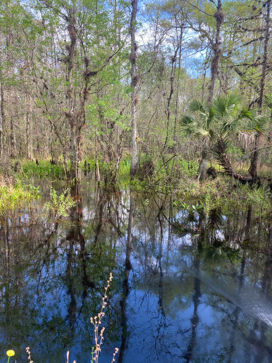 Get outside and enjoy planet Earth!